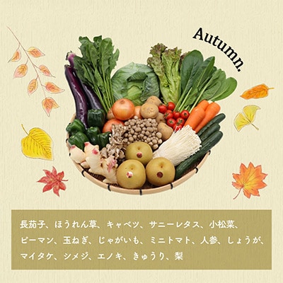 【発送月固定定期便】雲仙の野菜 16品目以上 フルーツ・キノコ付きの野菜セット 奇数月コース 全6回