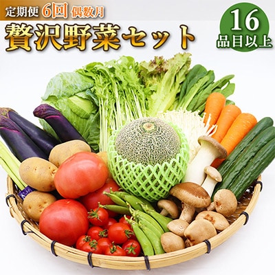 【発送月固定定期便】雲仙の野菜 16品目以上 フルーツ・キノコ付きの野菜セット 偶数月コース 全6回