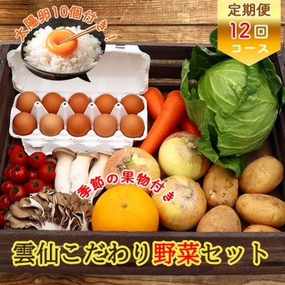 【発送月固定定期便】卵付き 雲仙こだわり野菜定期便 8～9品目 野菜 果物 詰め合わせ全12回