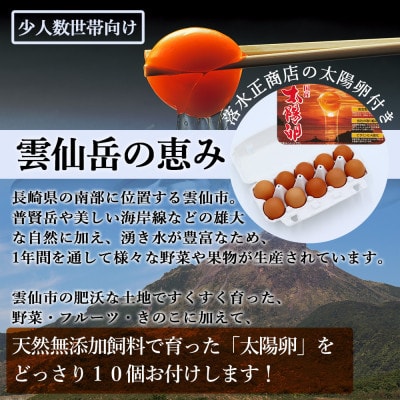 【発送月固定定期便】卵付き 雲仙こだわり野菜定期便 8～9品目 野菜 果物 詰め合わせ全12回