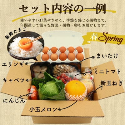 【発送月固定定期便】卵付き 雲仙こだわり野菜定期便 8～9品目 野菜 果物 詰め合わせ全12回