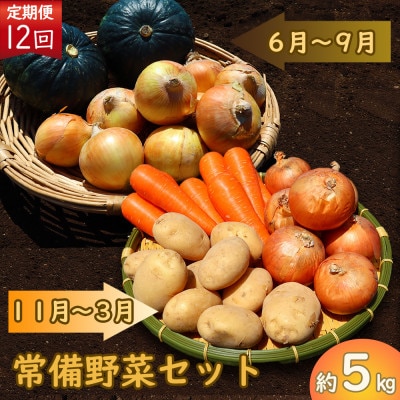 【発送月固定定期便】常備野菜セット じゃがいも 玉ねぎ 人参 など 約5kg全12回