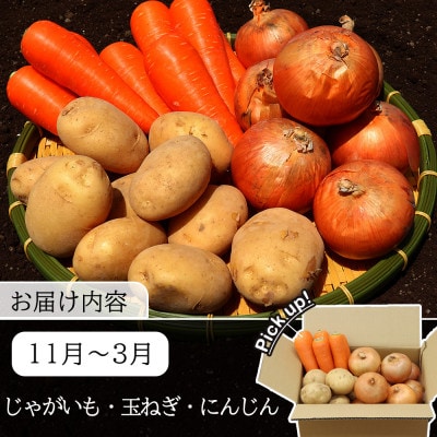 【発送月固定定期便】常備野菜セット じゃがいも 玉ねぎ 人参 など 約5kg全12回