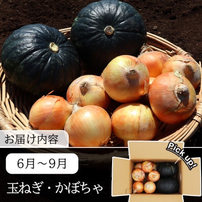 【発送月固定定期便】常備野菜セット じゃがいも 玉ねぎ 人参 など 約5kg全12回