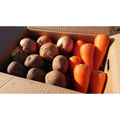 2022年12月発送開始『定期便』常備野菜セット じゃがいも 玉ねぎ 人参 南瓜を2品目以上全12回