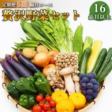 2023年7月発送開始『定期便』雲仙の野菜 16品目以上 フルーツ・キノコ付きの野菜セット全6回 | ふるさと納税のお礼品