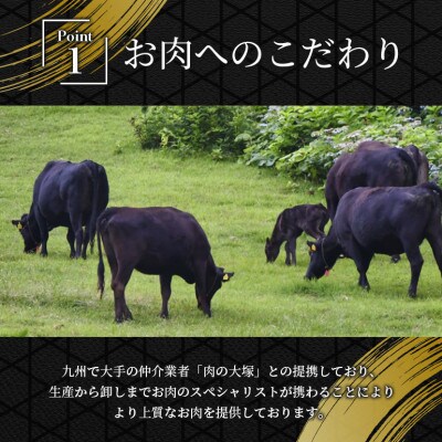 【A5等級】長崎和牛 サーロインステーキ 1kg(250g×4枚)