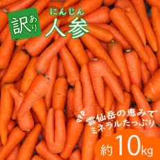 【訳あり】冬人参 約10kg