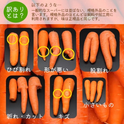 【訳あり】冬人参 約10kg