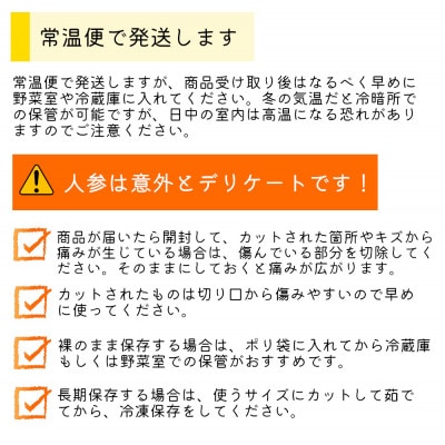【訳あり】冬人参 約10kg