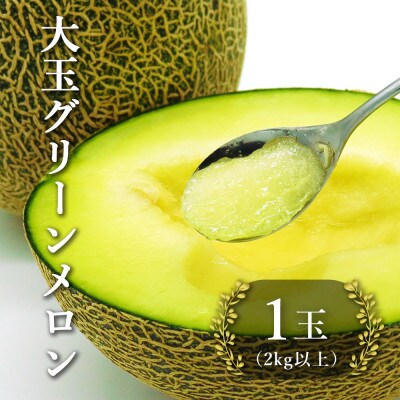 【2024年6月発送】 香り高い 大玉グリーンメロン 1玉(4Lサイズ以上)