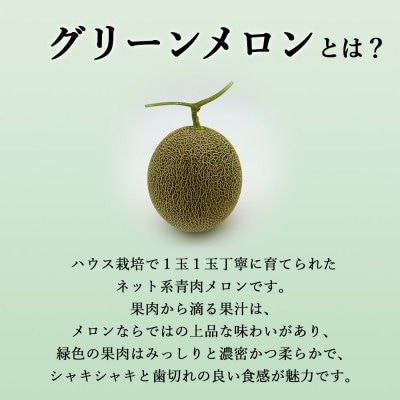 【2024年6月発送】 香り高い 大玉グリーンメロン 1玉(4Lサイズ以上)
