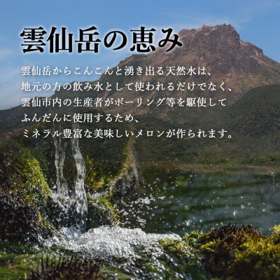 【2024年6月発送】 香り高い 大玉グリーンメロン 1玉(4Lサイズ以上)