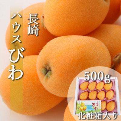 【のし付き】【数量限定】【2025年4月発送】長崎ハウスびわ 500g 化粧箱入り