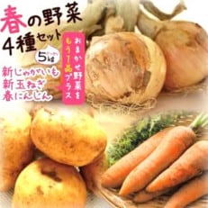 【春の新野菜セット】「新じゃがいも・新玉ねぎ・春人参」+旬野菜1品セット 約5kg