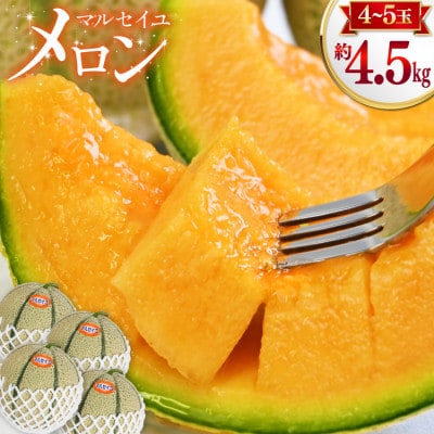 マルセイユメロン 4玉～5玉(約4.5kg)(雲仙市)