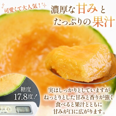 マルセイユメロン 4玉～5玉(約4.5kg)(雲仙市)