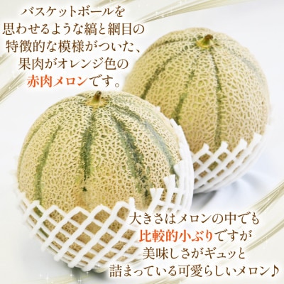 マルセイユメロン 4玉～5玉(約4.5kg)(雲仙市)