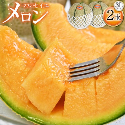 マルセイユメロン(3L×2玉)(雲仙市)