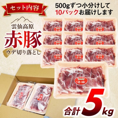 雲仙高原 赤豚 国産 豚ウデ 切り落とし 5kg(500g×10P)(雲仙市)