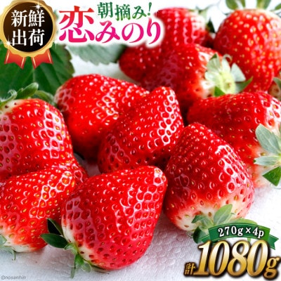 いちご「恋みのり」約1080g(270g×4パック)(雲仙市)
