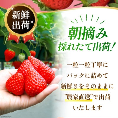 いちご「恋みのり」約1080g(270g×4パック)(雲仙市)
