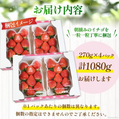 いちご「恋みのり」約1080g(270g×4パック)(雲仙市)