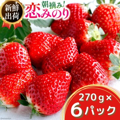 いちご「恋みのり」約1620g(270g×6パック)(雲仙市)