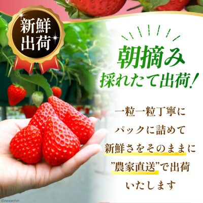 いちご「恋みのり」約1620g(270g×6パック)(雲仙市)