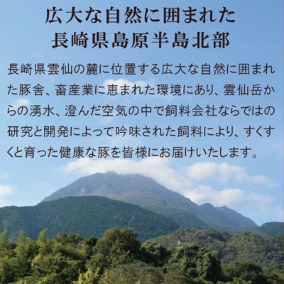 【雲仙市の国産豚】ハム・ベーコンセット 3種類