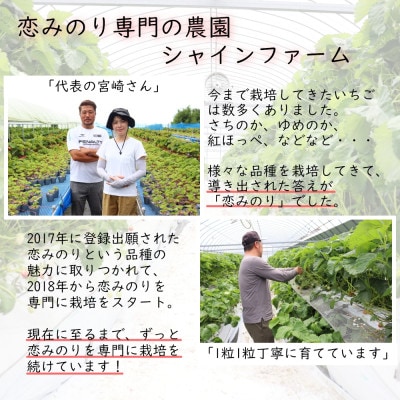 いちご(恋みのり) 計1kg 2Lサイズ以上