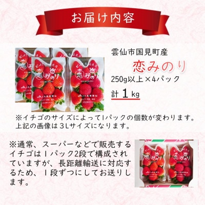 いちご(恋みのり) 計1kg 2Lサイズ以上