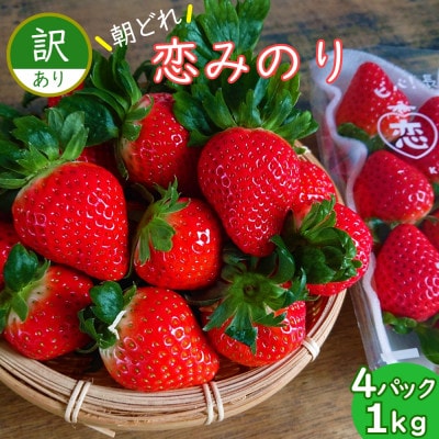 訳あり いちご(恋みのり) 計1kg