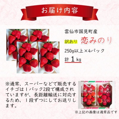 訳あり いちご(恋みのり) 計1kg