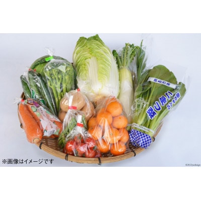 島原半島産こだわり旬の野菜セット10品～12品