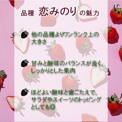 雲仙【キチ・フィールド】恋みのり　4パック