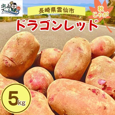 じゃがいも ドラゴンレッド 5kg ～秋～【じゃがいも専門農家
