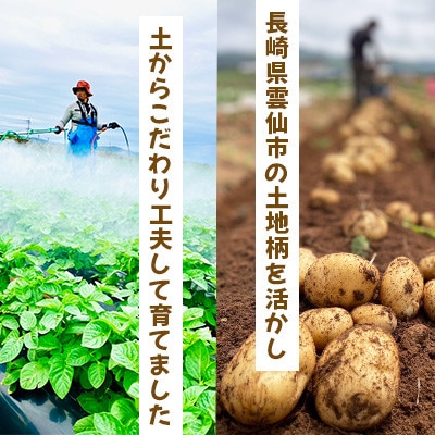 じゃがいも アイマサリ 5kg ～春～【じゃがいも専門農家 宅島Farm】