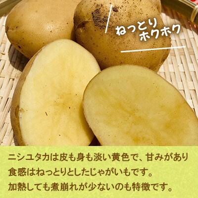 じゃがいもニシユタカ 10kg ～秋～【じゃがいも専門農家 宅島Farm】