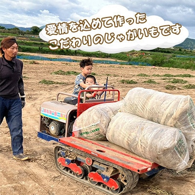 じゃがいもニシユタカ 10kg ～春～【じゃがいも専門農家 宅島Farm】