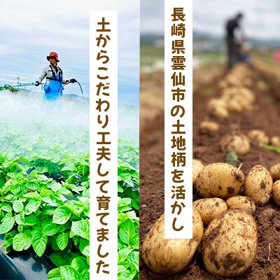 じゃがいも アイマサリ 10kg ～春～【じゃがいも専門農家 宅島Farm】