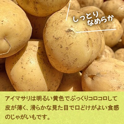 じゃがいも アイマサリ 10kg ～春～【じゃがいも専門農家 宅島Farm】