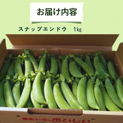 【期間限定発送】長崎県雲仙市産 甘み豊かなスナップエンドウ 1kg