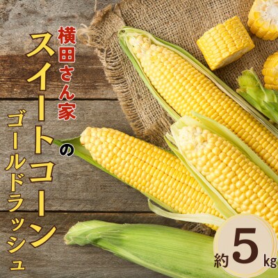 【先行予約】 横田さん家の美味しいスイートコーン ゴールドラッシュ 16本(約5kg)