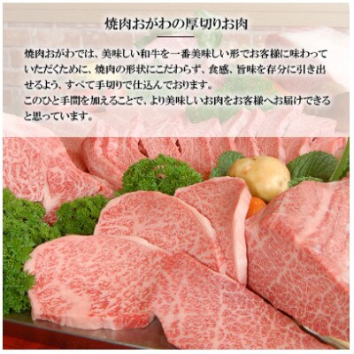 【毎月定期便】雲仙育ち おがわ牛 A5ランクのみ特選ロース極厚焼肉 自家製タレ付 (雲仙市)全3回