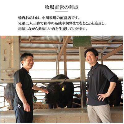 【毎月定期便】焼肉おがわ 長崎和牛焼肉 4種(上バラ・上モモ・上ロース・上カルビ)(雲仙市)全12回