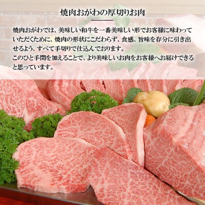 【毎月定期便】焼肉おがわ 長崎和牛A5ランク サーロインステーキ 2枚合計400g(雲仙市)全3回