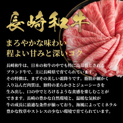 【和牛セレブ】長崎和牛 モモ すき焼きしゃぶしゃぶ 300g(雲仙市)