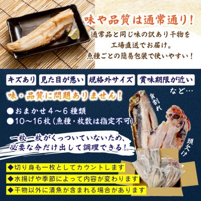訳あり干物セット 家庭用 約1kg