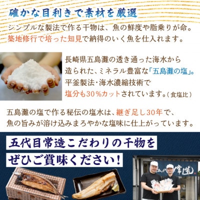 訳あり干物セット 家庭用 約1kg